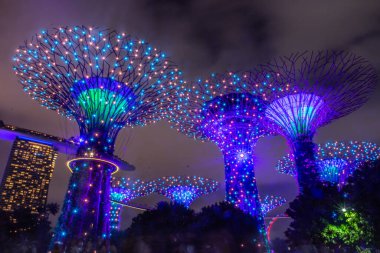 SINGAPORE, 3 EKİM 2019: Körfezin yanındaki Bahçelerin Süperağaçları