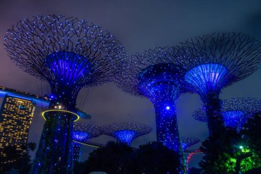 SINGAPORE, 3 EKİM 2019: Körfezin yanındaki Bahçelerin Süperağaçları