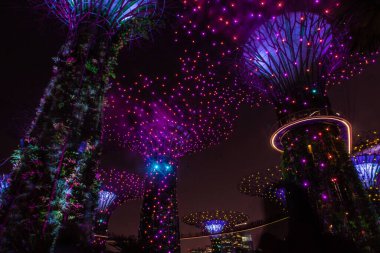 SINGAPORE, 3 EKİM 2019: Körfezin yanındaki Bahçelerin Süperağaçları