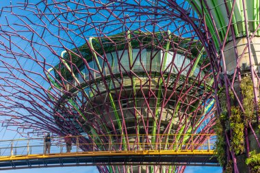 SINGAPORE, 3 EKİM 2019: Körfezin yanındaki Bahçelerin Süperağaçları