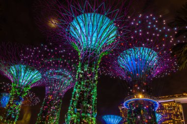 SINGAPORE, 3 EKİM 2019: Geceleri körfezin kenarındaki Bahçelerin Süperağaçları