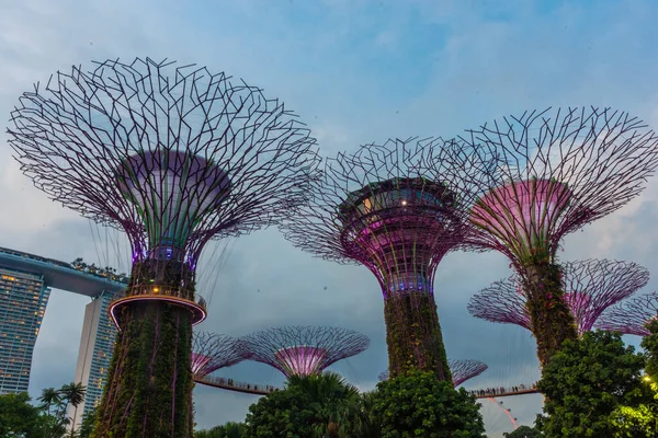 Cingapore Outubro 2019 Superárvores Dos Jardins Junto Baía — Fotografia de Stock