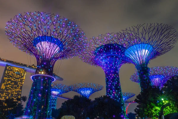 Cingapore Outubro 2019 Superárvores Dos Jardins Junto Baía — Fotografia de Stock