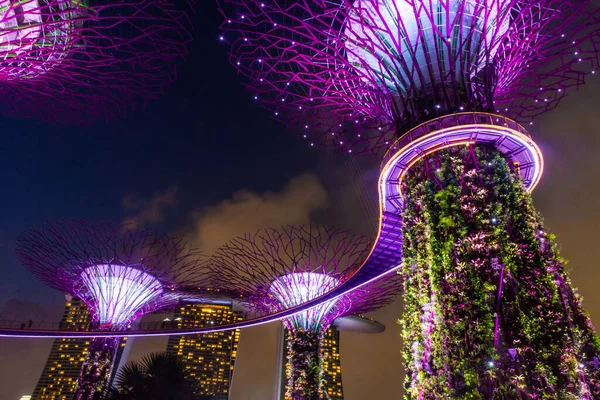 Cingapore Outubro 2019 Superárvores Dos Jardins Junto Baía — Fotografia de Stock