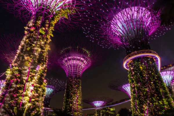 Cingapore Outubro 2019 Superárvores Dos Jardins Junto Baía — Fotografia de Stock