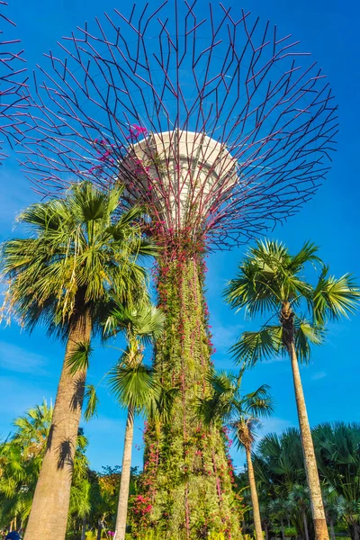 Cingapore Outubro 2019 Superárvores Dos Jardins Junto Baía — Fotografia de Stock