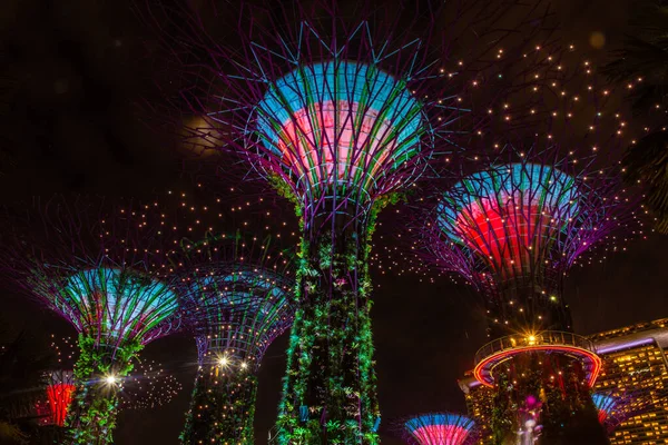 Cingapore Outubro 2019 Superárvores Dos Jardins Beira Baía Noite — Fotografia de Stock