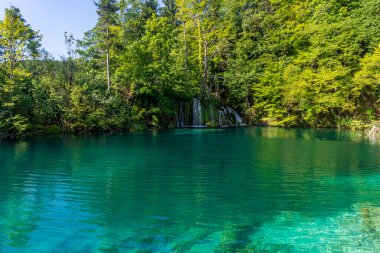 Hırvatistan 'ın Plitvice Göllerinin kristal suyu