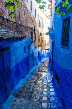 Şef Chaouen 'in mavi sokakları, Fas