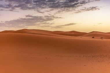 Erg Chebbi 'nin kumullarında şafak vakti, Sahra Çölü, Fas
