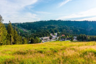 Almanya 'da Kara Orman