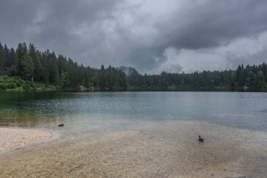 Almanya, Hintersee 'nin sisli manzarası