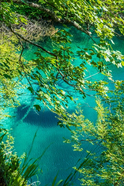Turkusowa Woda Jeziorze Plitvice Chorwacja — Zdjęcie stockowe