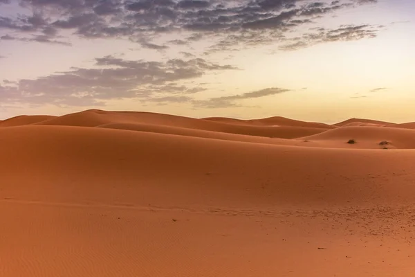Hajnal Erg Chebbi Dűnéiben Szahara Sivatag Marokkó — Stock Fotó