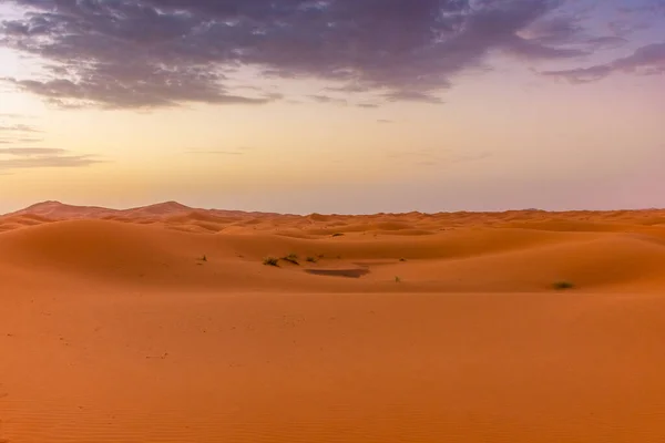 モロッコ サハラ砂漠のエルグ チェビ砂丘での夜明け — ストック写真