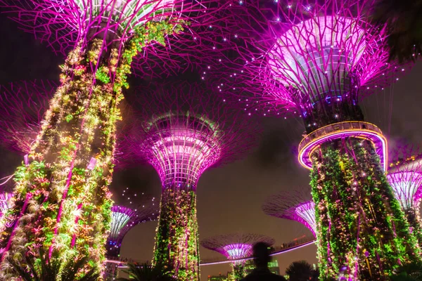 Cingapore Outubro 2019 Superárvores Dos Jardins Junto Baía — Fotografia de Stock