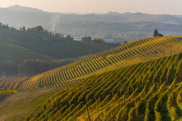 Increíble Paisaje Otoñal Langhe Famosa Zona Viñedos Piamonte Italia — Foto de Stock