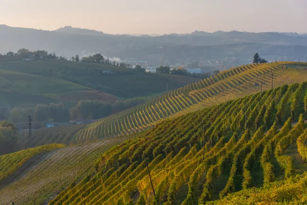 Increíble Paisaje Otoñal Langhe Famosa Zona Viñedos Piamonte Italia — Foto de Stock