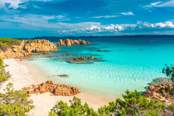 Budelli Adası, Maddalena Takımadası, Sardunya, İtalya 'daki inanılmaz pembe kumsal.