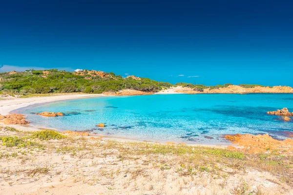 Budelli Adası Maddalena Takımadası Sardunya Talya Daki Inanılmaz Pembe Kumsal — Stok fotoğraf