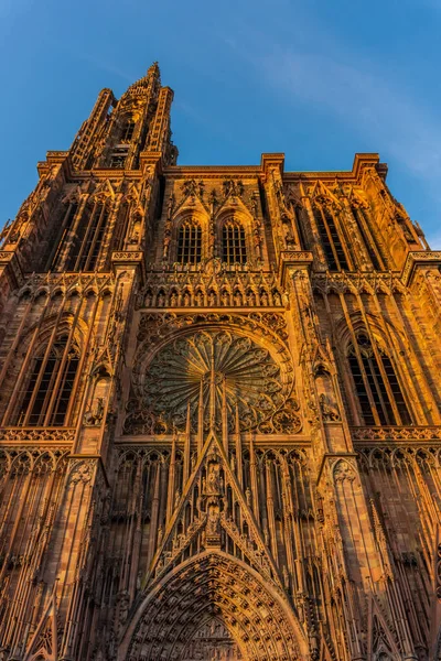 Cathédrale Strasbourg France — Photo