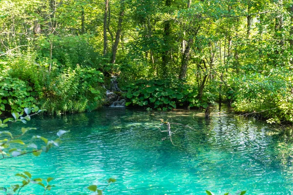 Krajobraz Lasu Kolorowe Jezioro Parku Narodowym Plitwice Chorwacja — Zdjęcie stockowe