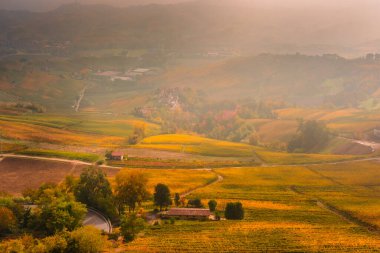 Langhe 'deki muhteşem sonbahar manzarası. Piedmont, İtalya' daki ünlü üzüm bağı bölgesi.