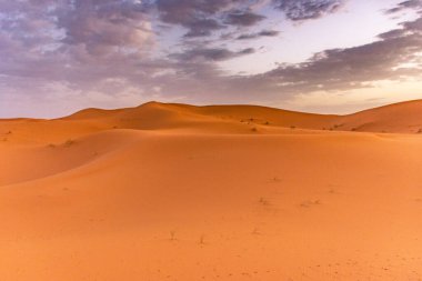Erg Chebbi 'nin kumullarında şafak vakti, Sahra Çölü, Fas