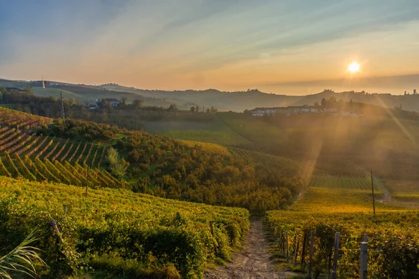 Amazing Autumnal Landscape Langhe Famous Vineyard Area Piedmont Italy — Stock Photo, Image