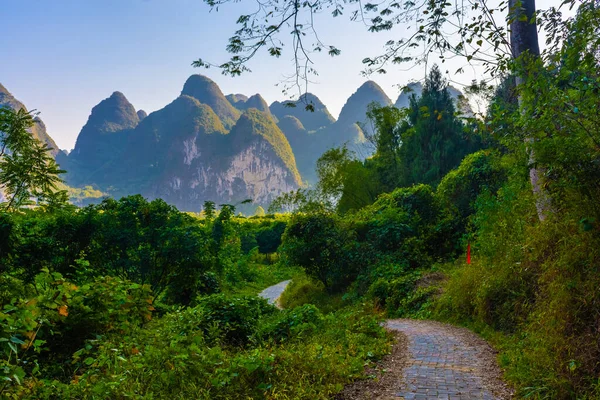 Amazing Karst Landscape Forest Xingping China — Stock Photo, Image