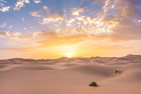 Splendida Alba Nel Deserto Del Sahara Marocco — Foto Stock