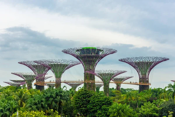 Cingapore Outubro 2019 Superárvores Dos Jardins Junto Baía — Fotografia de Stock