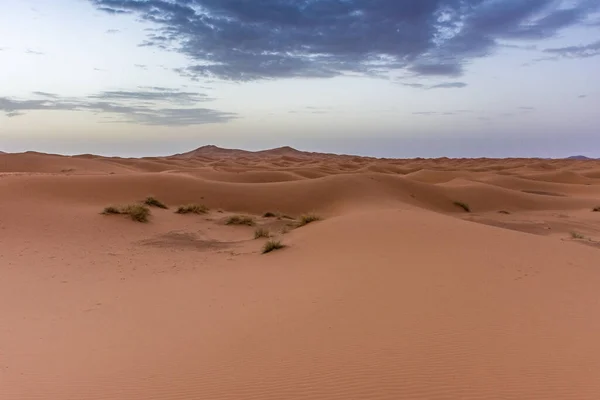 Hajnal Erg Chebbi Dűnéiben Szahara Sivatag Marokkó — Stock Fotó