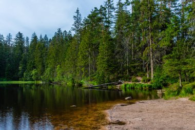 Wildsee Gölü Kara Orman, Almanya