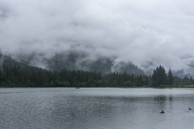 Almanya, Hintersee 'nin sisli manzarası