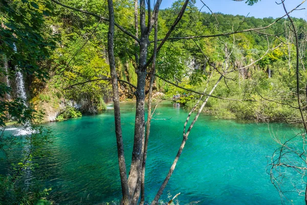 Tájkép Plitvicei Nemzeti Park Kilátás Kristályvíz — Stock Fotó