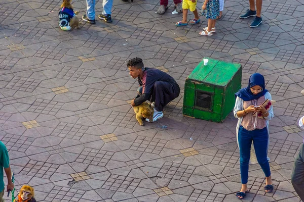 Marrakech Morocco Setembro 2018 Encantadores Cobras Djemaa Fna Praça Mercado — Fotografia de Stock