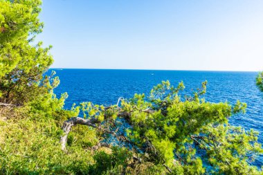 LUCERNE, SWitness ZERLAND, 8 AĞUSTOS 2020: Kapellbrucke Köprüsü 'nün güzel manzarası