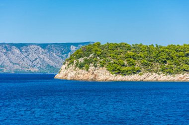 Hvar Adası manzarası ve Adriyatik Denizi ve Hırvatistan 'daki bitki örtüsü