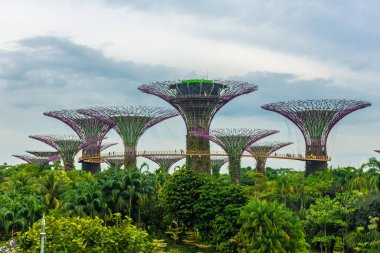 SINGAPORE, 3 EKİM 2019: Körfezin yanındaki Bahçelerin Süperağaçları