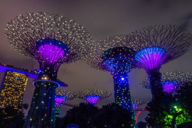 SINGAPORE, 3 EKİM 2019: Körfezin yanındaki Bahçelerin Süperağaçları