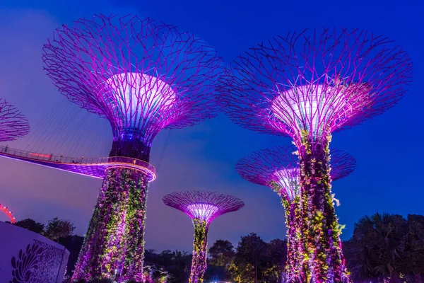 Singapore Ottobre 2019 Superalberi Dei Giardini Sulla Baia — Foto Stock