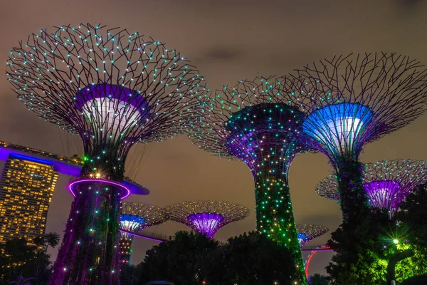 Cingapore Outubro 2019 Superárvores Dos Jardins Junto Baía — Fotografia de Stock