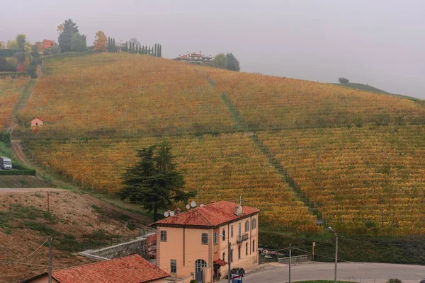 Wunderschöne Herbstliche Landschaft Der Langhe Dem Berühmten Weinanbaugebiet Piemont Italien — Stockfoto