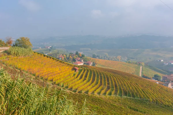 Wunderschöne Herbstliche Landschaft Der Langhe Dem Berühmten Weinanbaugebiet Piemont Italien — Stockfoto
