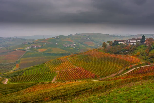 Wunderschöne Herbstliche Landschaft Der Langhe Dem Berühmten Weinanbaugebiet Piemont Italien — Stockfoto