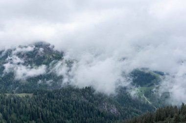 Almanya 'nın Jenner Dağı' nın zirvesinde sis
