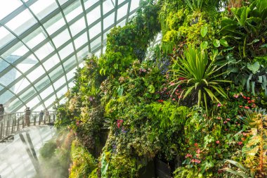 ŞARKI, 3 EKİM 2019: Singapur 'daki Bulut Ormanı