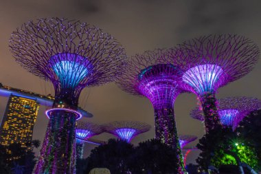 SINGAPORE, 3 EKİM 2019: Körfezin yanındaki Bahçelerin Süperağaçları