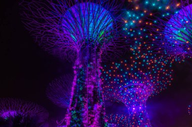 SINGAPORE, 3 EKİM 2019: Körfezin yanındaki Bahçelerin Süperağaçları